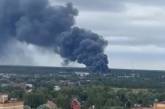 В Подмосковье вспыхнул масштабный пожар (видео)