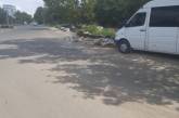 В Николаеве появилась стихийная свалка: кучи мусора уже в человеческий рост (видео)