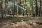 В Николаевской области горел молодой лес и сухая трава из-за обломков сбитого дрона