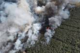 Под Николаевом снова масштабно горит лес: в ГСЧС показали видео с дрона