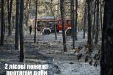 Под Николаевом горел лес, причина пожара - поджог