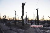 Во время войны в Николаеве стоит сажать деревья, – мэр