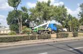 В Николаеве на проспекте с «размахом» кронируют деревья: жители забили тревогу