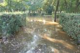 В Николаеве затопило парк «Лески» (фото)