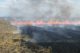 Під Миколаєвом аграрій навмисне випалює поля: збитки екології сягнули майже чверті мільйона (відео)