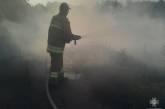 В Николаевской области мужчина тушил пожар и едва не погиб: его успели вытащить спасатели