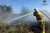 На Миколаївщині за добу вогонь «пройшов» 25 га: пожежі гасили понад 100 осіб