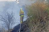 В Николаевской области при пожаре на даче погиб ее хозяин