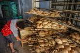 Єгипет відмовився від російської пшениці після того, як РФ змінила ціну, - Bloomberg