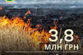 В Николаевской области поджигателей травы ждет штраф: ущерб оценили в более 3,8 млн грн
