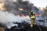 Пожарная опасность в Николаевской области: за сутки выгорело более 50 га, повреждены жилые дома