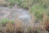 Экологическое бедствие в Ольшанском: канализация вот уже 10 лет попадает в скважину с питьевой водой
