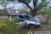 В Николаевской области Opel врезался в дерево – водитель погиб