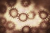 Вчені дістали з Маріанської западини найглибоководніший вірус