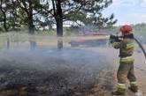 Горели квартиры, кафе и лес: за сутки в Николаевской области ликвидировали 25 пожаров