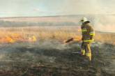 В Николаевской области масштабный пожар: горит заповедная зона