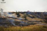 В Николаевской области подожгли лес — всего за сутки зарегистрировано 6 пожаров