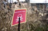 Зеленский заявил, что треть территории Украины загрязнена минами и снарядами