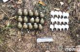 У мешканця села під Миколаєвом знайшли 15 гранат і наркотики