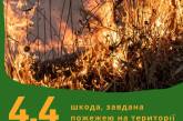 Через необережність горів парк «Тилігульський» – збитки перевищили 4 млн