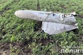 На Миколаївщині вночі збили ракету Х-59