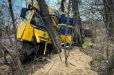 У Миколаївській області вантажівка злетіла в кювет і врізалася в дерево – водій загинув