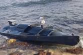 Морские дроны за год поразили 7 российских кораблей в Черном море