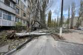 У Миколаєві вітер масово валив дерева (фото)