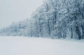 Україну накриває циклон: буде сніг та вітер до 27 м/с