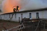 В Новой Одессе масштабный пожар на ферме: погибло 3000 кур