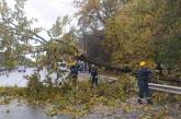 Негода у Миколаївській області: знеструмлено 23 населені пункти