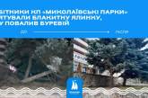 У Миколаєві врятували блакитну ялинку, яку повалив ураган