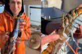 Рыбак поймал редчайшего двухцветного омара-гермафродита (видео)