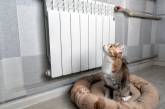 «У квартирі 10 градусів, куди дивиться мер?!»: у Миколаєві мешканці обурені відсутністю тепла