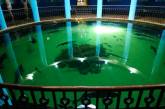 В Севастополе затопило музей-аквариум - погибли 800 экзотических животных (видео)