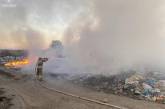 Поджог на полигоне ТБО в Николаеве: эксперты подсчитали убытки