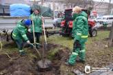 Липовий ансамбль: у Миколаєві повідомили, як хочуть змінити Центральний проспект