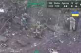 Появилось видео расстрела украинских военных, которые сдавались в плен