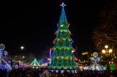 Стало відомо, скільки грошей витратили у Миколаєві на новорічний декор та ялинку