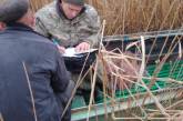 У реки в селе под Николаевом инспекторы поймали нарушителя: ловил рыбу сетями