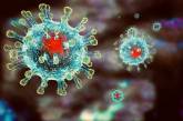 В Україні за грудень зафіксували три випадки нового виду коронавірусу Pirola