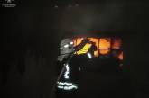В Николаевской области горел гараж: уничтожены автомобиль и минитрактор 