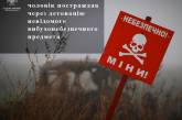 В Николаевской области житель поднял мину: она взорвалась