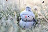В первый день нового года в Николаеве и области обещают теплую погоду и туманы