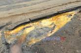 Наслідки аварії фури з олією у Миколаєві: екологи взяли проби води та ґрунту