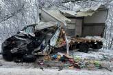 Полиция ищет свидетелей смертельного ДТП в Николаевской области с фургоном и фурой