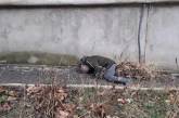 Один человек погиб в результате атаки российского беспилотника в Херсонской области