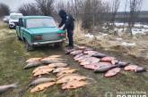 В Николаевской области браконьеры сетями выловили почти 200 кг рыбы