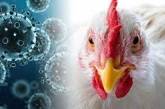 На Миколаївщині виявили пташиний грип – оголошено карантин