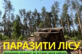 Паразиты леса: в Николаевской области орудуют «черные лесорубы», двух из них поймали